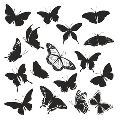Fototapeta premium Butterfly Silhouette Vector Set – Elegant Insect Clipart for Nature, Tattoo, and Design Illustrations 