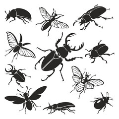 Beetle Silhouette Vector Set – Stag Beetle, Insect, and Bug Clipart for Nature and Science Projects