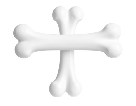 Minimalist White Bone with Subtle Contours and Shadow on White Background