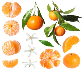 Tangerine, fruits, leaves and flowers on white background, set