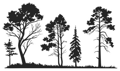 Silhouette of Various Pine and Forest Trees Vector Illustration
