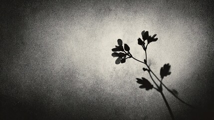 A stark black silhouette of a small branch with leaves is cast against a textured, gradient background, creating a dramatic contrast and minimalist visual effect.
