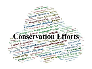 Conservation Efforts Word Cloud. A Visual Summary Of Key Terms In Environmental Preservation