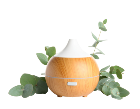 Home Diffuser with Steam and Eucalyptus – Aroma Transparent Background PNG Clipart