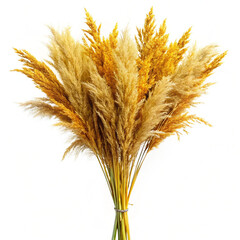 Fototapeta premium Golden Pampas Grass Bouquet: Autumnal Dried Flowers, Warm Tones, Elegant Style