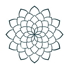 Colorful Flowering Dahlia Head Detail Garden Floral Background