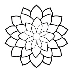 Lush Petals of a Decorative Garden Dahlia Summer Season