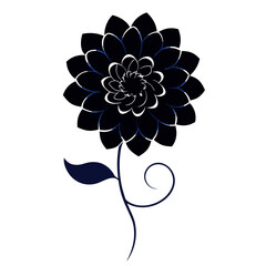 Bright Red Pink and White Dahlia in Full Bloom Outdoor Beauty