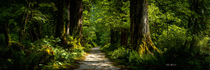 Obraz premium The Enchanting Journey Through Nature's Timeless Emerald Pathway of Reflection