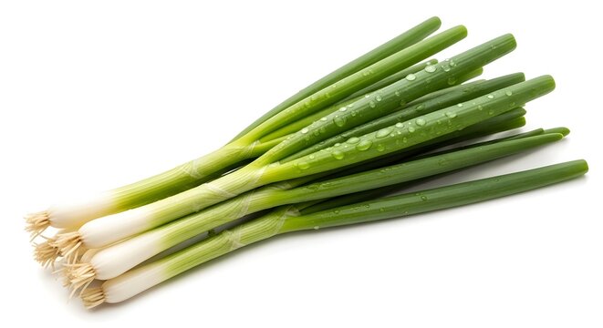 hern Fresh Green Onions with Water Drops Isolated on White Background