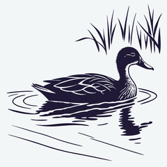 Elegant Duck Swimming Peacefully in Water with Reeds Silhouette Illustration