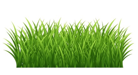 Green Grass Blades Background for Spring Season and Nature Themed Designs