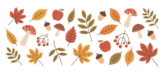 Fall foliage featuring stylized maple leaves, acorns, apples and mushrooms on a transparent background, ideal for autumn themed designs.