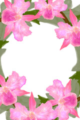 Obraz premium pink flower frame