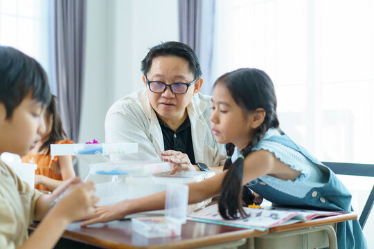 Young students enjoy learning a sciences in classroom.