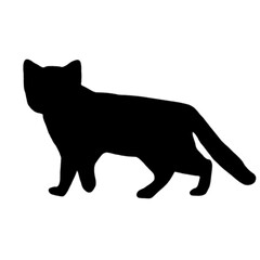 black cat, cartoon cat, cute cat, kawaii, vector cat, animal illustration, funny cat, kids illustration, cat character, feline, adorable, pet, playful, big eyes, cat lover, mascot, minimalist, graphic