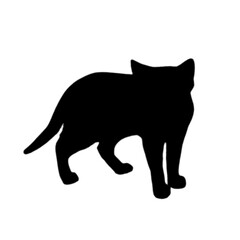 black cat, cartoon cat, cute cat, kawaii, vector cat, animal illustration, funny cat, kids illustration, cat character, feline, adorable, pet, playful, big eyes, cat lover, mascot, minimalist, graphic