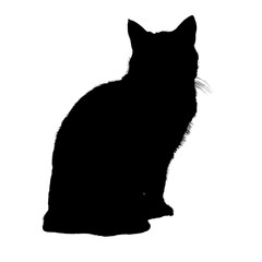 black cat, cartoon cat, cute cat, kawaii, vector cat, animal illustration, funny cat, kids illustration, cat character, feline, adorable, pet, playful, big eyes, cat lover, mascot, minimalist, graphic