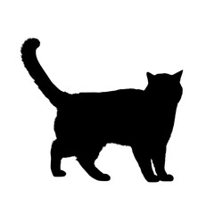 black cat, cartoon cat, cute cat, kawaii, vector cat, animal illustration, funny cat, kids illustration, cat character, feline, adorable, pet, playful, big eyes, cat lover, mascot, minimalist, graphic