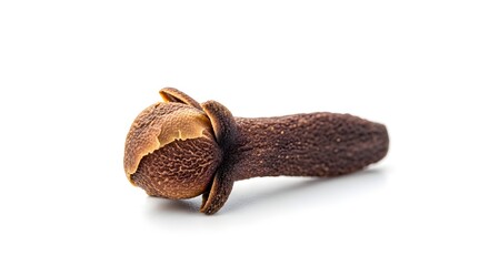 hern Single Dried Clove Spice Macro Shot Isolated on White Background