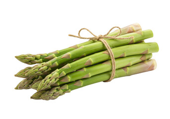 Fresh green asparagus spears tied with twine isolated on transparent background