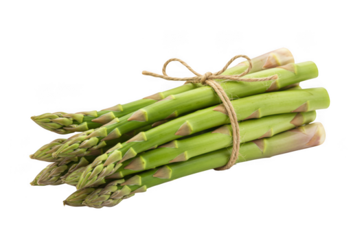 Fresh green asparagus spears tied with twine isolated on transparent background