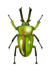 Illustration of rainbow beetle isolated on white background 