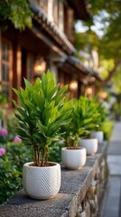 Fototapeta premium Lush greenery adorns quaint outdoor setting