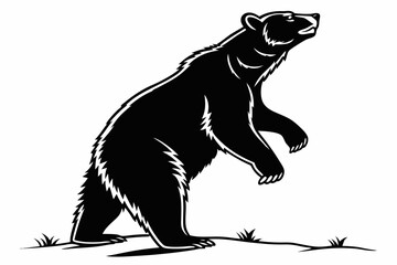 bear sihouette black vector