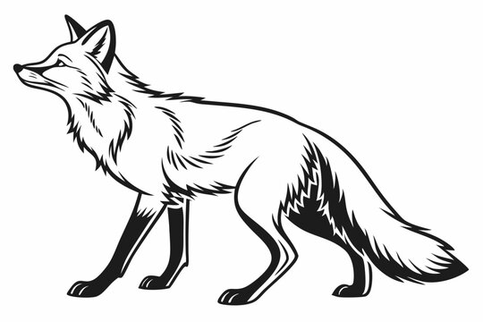 black and white fox standing profile clip art preview