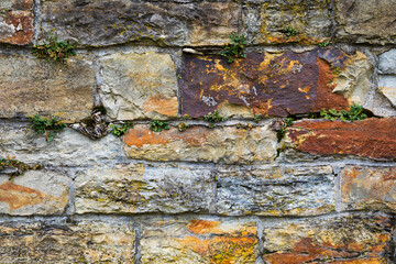Old weathered stone wall with growing plants in Czech Republic