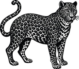 Leopard vector silhouette