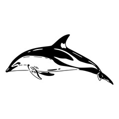 graceful dolphin artwork