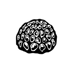 marine coral vector clipart