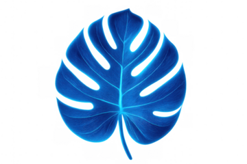 Vibrant blue monstera leaf glowing on a transparent background, perfect for nature-inspired designs