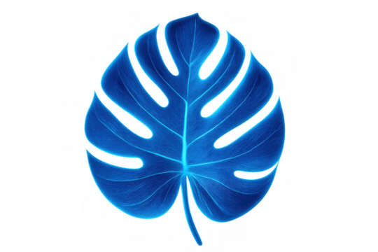 Vibrant blue monstera leaf glowing on a transparent background, perfect for nature-inspired designs