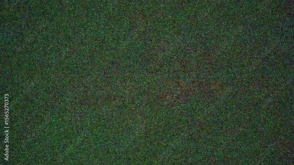 Wall mural film-style digital static overlay with retro noise effect for editing projects