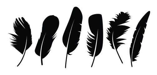 A stylish collection of elegant bird feather black silhouettes. Perfect plumelets for boho, tribal, or nature-inspired designs, tattoos, prints, logos, and decorative graphic projects.