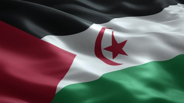 Waving Flag of the Sahrawi Arab Democratic Republic (Western Sahara)