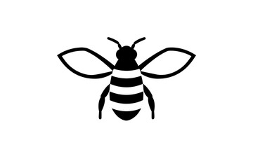 vector illustration of a bee
