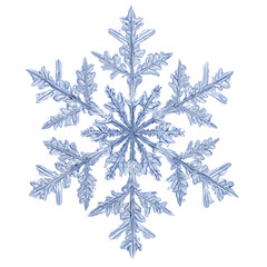 snowflakes on a white background