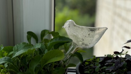 Decorative metal bird placed beside indoor herbs on a windowsill with scenic outdoor view, perfect for home and garden themes.