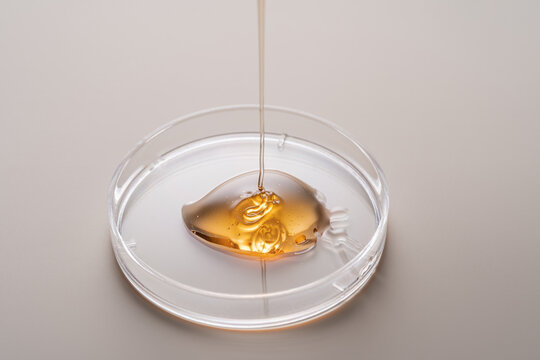 Golden liquid in petri dish for cosmetic formulation