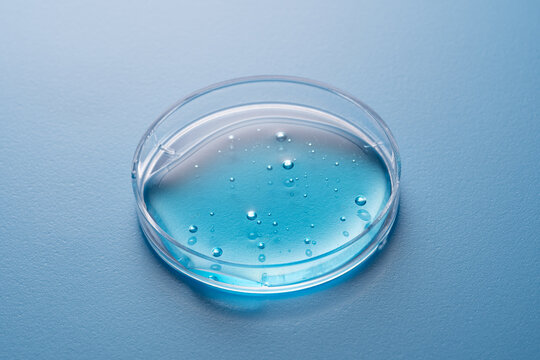 Cosmetic formulation in petri dish with blue liquid