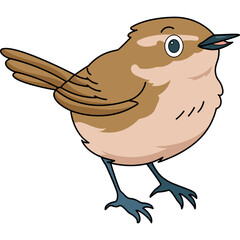 Bird Cartoon Illustration