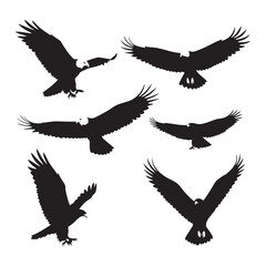 Obraz premium Collection of majestic eagle flying silhouettes isolated on white background silhouette