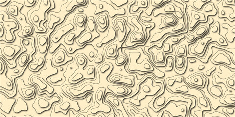 Complex elevation forms displayed in clean linework

