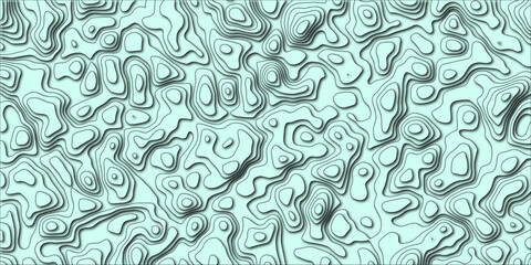 Stylized topography illustrated through flowing lines

