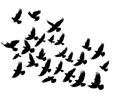 house with a roof HD transparent background PNG Stock Photographic Image .jpg - Firefly_black silhouette flock of birds backlit Isolate on transparent background PNG file 