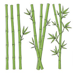 Obraz premium Green Bamboo Stems and Leaves Illustration